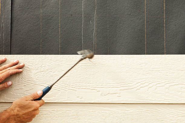 Best Custom Trim and Detailing for Siding  in Dos Palos, CA